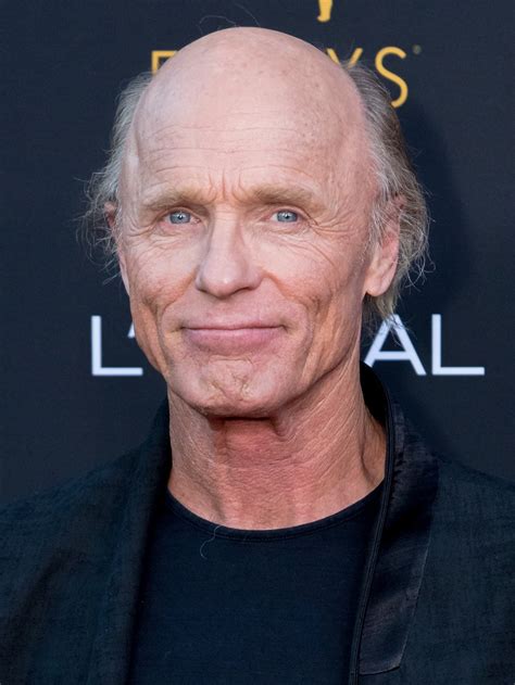 ed harris wikipedia|ed harris películas.